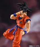 SH Figuarts Goku 2.0