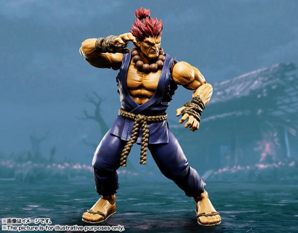 Sh Figuarts Akuma